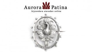 Hoofdafbeelding Aurora Patina Almere